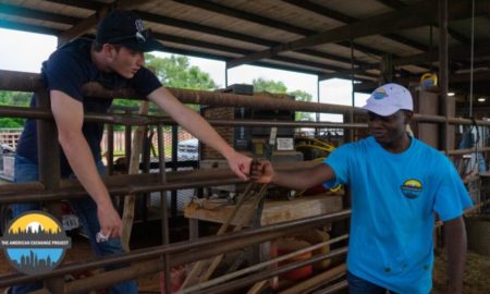 American Exchange Project: two young people fist-bumping eachother on farm