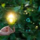 Bold and large-scale project grant: hand holding a lightbulb with graphics of modern and future tech branching out in front of background of leaves