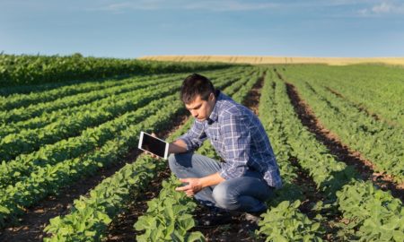 young farmer and rancher support grants; youth in field with tablet