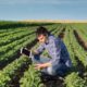 young farmer and rancher support grants; youth in field with tablet