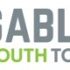 LOGO Disabled Youth Today Gray & lime green text on white background banner