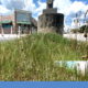 Grass growing around empty parking lot around closed large building.