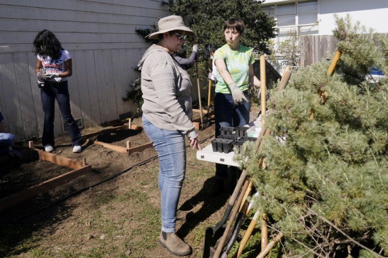 student volunteers disappear: Adult wearing jeans and light shirt and cowboy hat stands next to young woman wearing jeans and green t-shirt discussing potted plants on table in outdoor garden