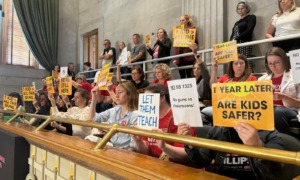 Tennessee arms teachers: Several adults stand and sit in balcony gallery area, many holding signs with language protesting arming teachers in schools