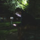 homeless: Depressed teenager on his cellphone while sitting on a park bench at night.