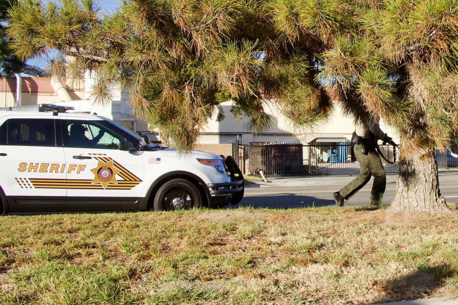 Ryan Gainer - When police encounters with autistic people turn fatal: a police officer walks away from a San Bernardino sheriff's car with gun in hand